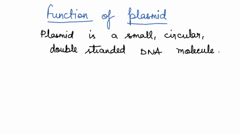 what-is-the-function-of-plasmid-in-bacteria-cell-if-the-bacteria-cells-do-not-have-a-plasmid-will-it-cause-the-bacteria-cell-to-die-29965