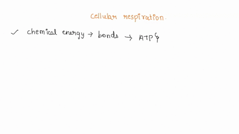 which-statement-summarizes-the-changes-that-occur-to-energy-in-cellular-respiration-94745