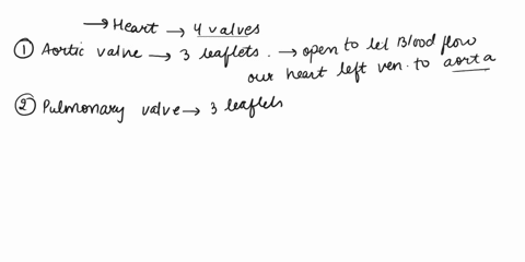 which-of-the-following-prevents-blood-from-flowing-back-into-the-right-atrium-from-the-right-ventricle-pulmonary-semilunar-valve-tricuspid-valve-bicuspid-valve-aorticsemilunarvalve-73942