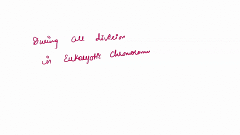 during-cell-division-after-chromatin-is-formed-flbrous-proteins-tightly-pack-the-chromatin-to-ensure-chromosomes-do-not-overlap-in-the-nucleus-chromosomes-are-ready-for-duplication-chromosom-39626