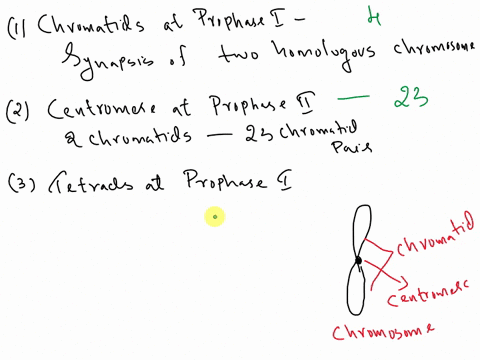 il-significance-meiosis-in-your-own-words_-meiosis-state-why-meiosis-is-an-imberian-important-concepl-geneticists-panduad-becqute-ensue-tnct-wa_-al-lxlal_aepldulion-lenanti-e-khmmosama-conlt-40689