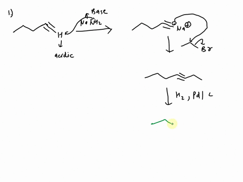 choose-the-final-major-product-for-the-following-reactions-1-pentyne-reacts-with-a-nanh2-b-bromo-ethane-c-hz-pdc-excess-0-1-pentane-o2octane-03hexane-04heptane-question-34-choose-the-final-m-13234