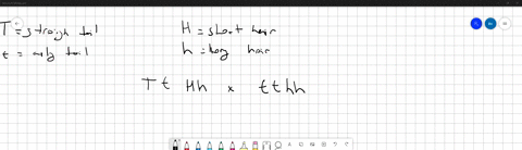 dihybrid-punnett-square-notes-dihybrid-crosses-consider-the-inheritance-ol-alleles-of-two-genes_-suppose-thal-in-dogs-curly-tail-is-recessive-t0-straight-tail-t-in-dogs-long-hair-h-is-also-t-96995