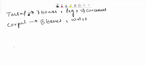 select-the-correct-answer-the-bones-of-the-tarsus-and-foot-are-stronger-than-the-bones-in-the-wrist-and-hand-o-a-true-ob-false-82055