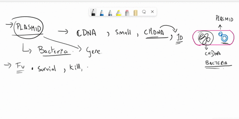 5-what-are-plasmids-and-explain-the-different-types-of-plasmids-found-in-bacterial-cells-include-the-role-functions-of-plasmids-33324