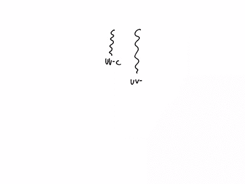 which-statement-is-correct-group-of-answer-choices-uv-a-uv-b-and-uv-c-all-have-the-same-energy-uv-c-is-the-most-energetic-of-the-three-forms-of-uv-light-uv-a-is-the-most-energetic-of-the-three-forms-o