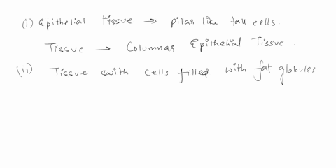 identify-the-following-tissues-i-the-epithelial-tissue-which-has-pillar-like-tall-cells-ii-the-cells-of-this-tissue-are-filled-with-fat-globules-iii-the-movement-of-this-tissue-pushes-the-mu-07438