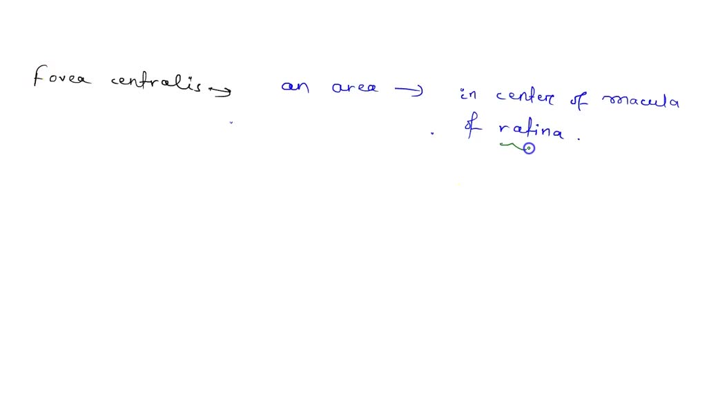 SOLVED Summarize how the structures of the eye direct light onto the