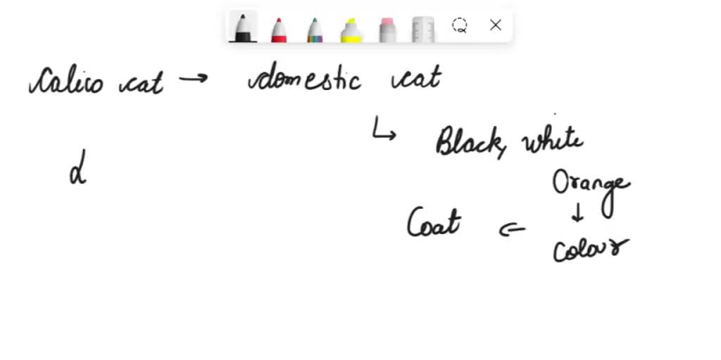 SOLVED Calico cat fur is an example of A. classic dominance B