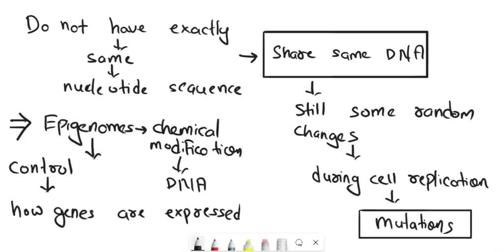 SOLVED Identical twins have the same genes but may differ in their