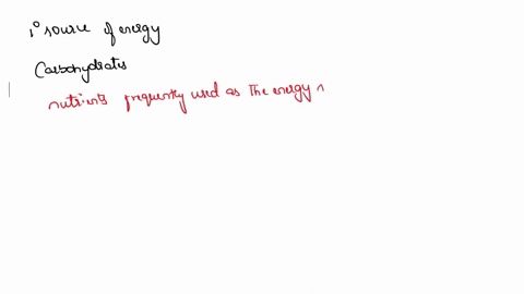 which-macromolecule-is-the-primary-energy-source-for-organisms-66072