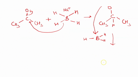 1-draw-the-mechanism-for-the-reduction-of-acetone-to-the-corresponding-alcohol-using-nabha-show-your-work-clearly-2-why-is-water-added-to-the-reaction-after-refluxing-can-tert-butanol-be-con-69873