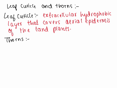 even-though-they-look-different-how-are-a-leaf-cuticle-and-a-thorn-the-same-71472