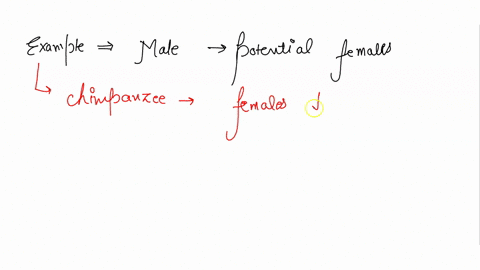 male-competition-male-primates-compete-for-females-and-always-go-where-the-females-are-found-can-you-provide-an-example-of-places-where-males-go-to-find-potential-females-93164