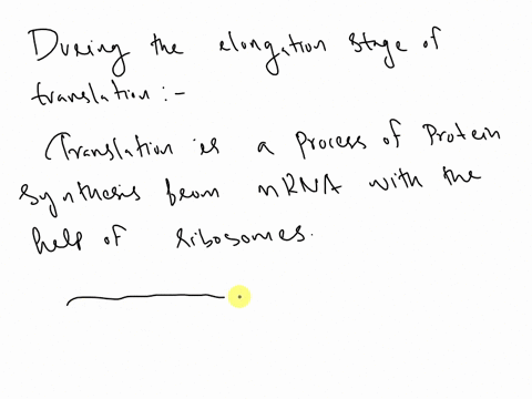 question-35-during-the-elongation-stage-of-translation-ribosomes-move-along-mrna-in-the-3-t0-5-direction-ribosomes-move-along-mrna-in-he-5-to-3-direction-mrna-actively-moves-through-ribosome-30368