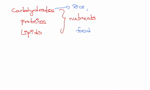 carbohydrat-choose-fats-oils-meats-and-nuts-lipids-fish-eggs-beef-and-poultry-protein-cereals-fruits-and-vegetables-and-breads-28987