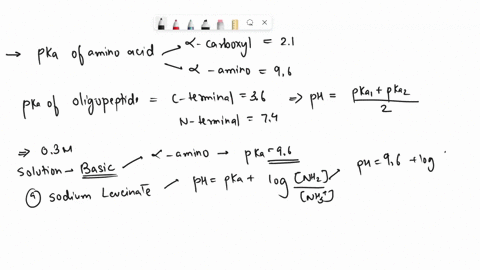 pka-of-the-side-chain-r-groups-d-39-e-42-h-60-c-83-y-101-k-105-and-r-125-pka-of-amino-acids-4-amino-group-96-and-a-carboxyl-group-21-pka-of-n-terminal-oligopeptide-a-amino-group-74-and-c-ter-95243