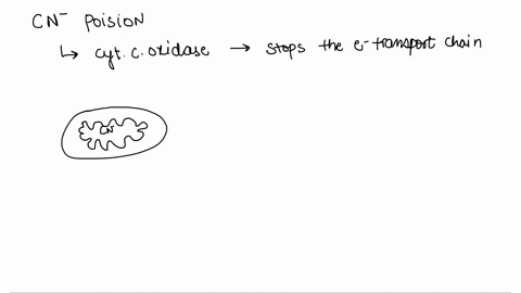 1-during-cyanide-poisoning-a-what-happens-to-the-concentration-of-fadh2-nadhs-in-the-mitochondrial-matrix-why-b-what-happens-to-the-creating-of-atps-and-why-do-these-changes-occur-c-what-hap-10937