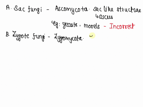 identify-the-fungus-type-pictured-below-a-sac-fungi-b-zygote-fungi-c-club-fungi-d-imperfect-fungi-05587