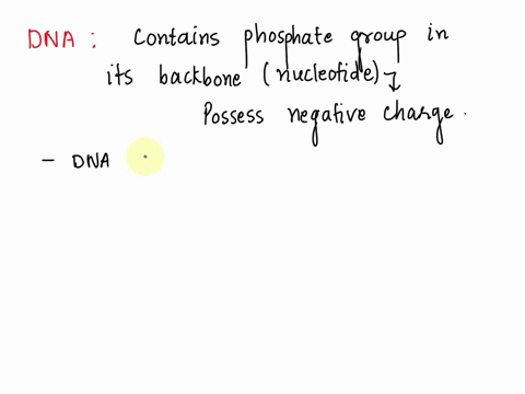 which-direction-does-dna-migrate-on-an-agarose-gel-why-o-toward-the-negative-electrodebecause-the-sugars-in-the-dna-have-a-positive-charge-o-toward-the-positive-electrodebecause-the-sugars-i-46661