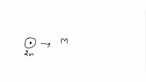 what-is-the-end-result-of-meiosis-93576