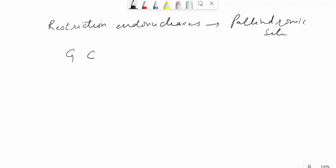 restriction-endonucleases-also-known-s-restriction-cleave-dna-into-smaller-enzymes-identify-dna-fragments-restriction-siles-recognition-scquences-which-of-the-strands-could-be-substrate-rest-04832