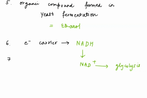 fermentation-the-organic-final-electron-acceptor-gains-electrons-from-nadh-and-becomes-acid-in-some-bacteria-which-produce-yogurt-such-as-name-of-bacteria-gas_-and-an-organic-corpound-are-pr-79003