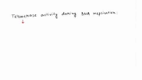 if-dna-synthesis-began-in-the-middle-of-a-linear-molecule-as-it-does-in-normal-eukaryotic-dna-replication-you-would-expect-to-see-telomerase-activity-needed-a-for-lagging-strand-synthesisb-f-43806