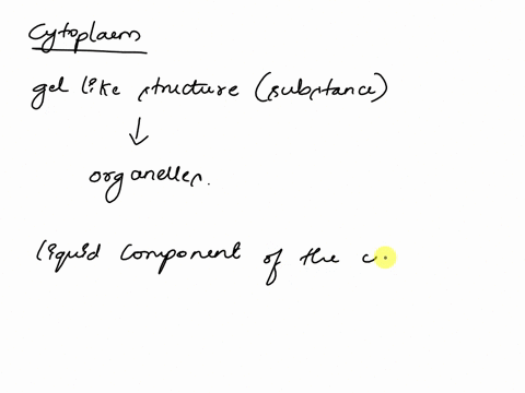 choose-the-term-that-best-completes-the-following-analogy-cytoplasm-is-to-cytosol-as-a-swimming-pool-containing-chlorine-and-flotation-toys-is-to-69051