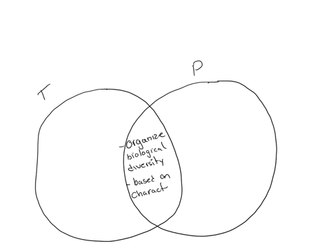 what-i-can-dodirections-use-venn-diagram-to-compare-and-contrast-phylogeny-from-taxonomyphylogenytaxonomy-what-can-do-ctens-use-venn-diugran-0-compare-and-conuast-phylogeny-from-taxono-texon-85592