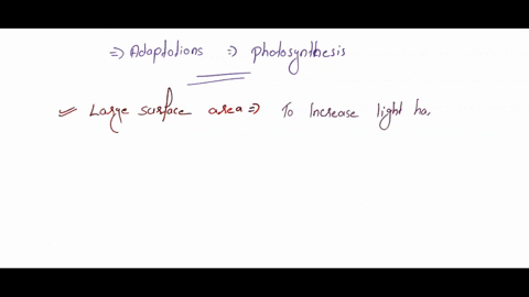 what-are-three-main-adaptations-for-how-plants-can-perform-photosynthesis-describe-how-these-adaptations-differ-78365