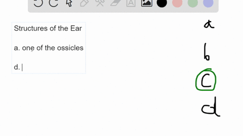 the-snail-shaped-tube-in-the-inner-ear-where-sound-waves-are-converted-into-neural-activity-is-cal-2-26991