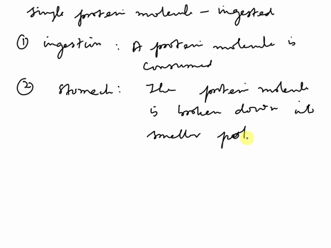 trace-the-path-of-a-single-protein-molecule-that-has-been-ingested-the-products-of-protein-digestion-enter-the-bloodstream-largely-through-cells-lining-a-the-stomach-b-the-small-intestine-c-68962