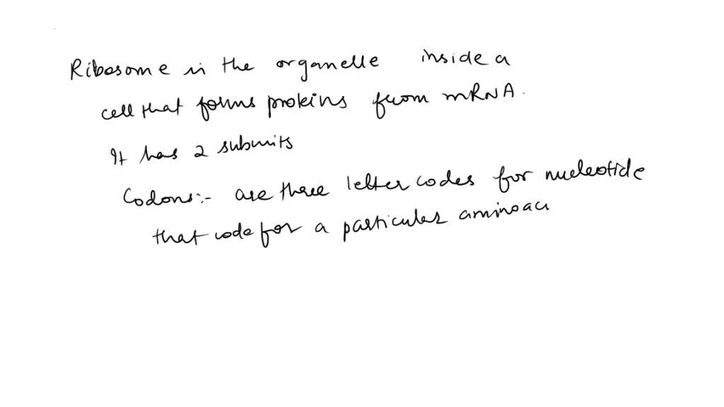 SOLVED Ribosomes are the site where are produced. Amino acids are