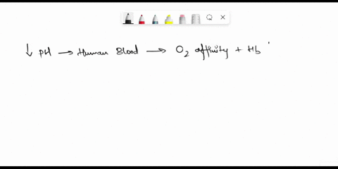 a-decrease-in-the-ph-of-human-blood-caused-by-exercise-would-decrease-breathing-rate_-decrease-cardiac-output-decrease-the-amount-of-02-unloaded-from-haemoglobin-decrease-the-affinity-of-hae-27932