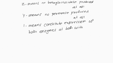 3-in-each-of-the-following-cases-determine-whether-b-galactosidase-and-permease-would-be-produced-by-the-lac-operon-in-the-presence-and-absence-of-lactose-as-an-inducer-write-if-the-enzyme-i-40688
