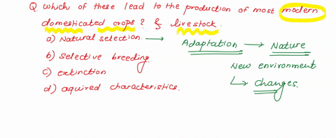 which-of-these-has-led-to-the-production-of-most-modern-domesticated-crops-and-livestock-which-of-these-has-led-to-the-product-natural-selection-selective-breeding-extinction-acquired-charac-74634