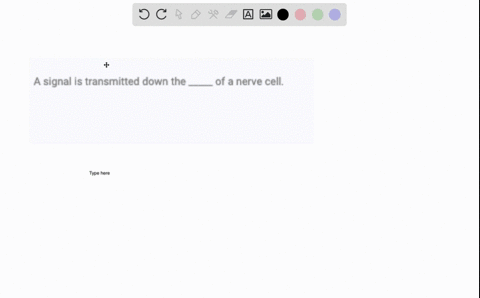 a-signal-is-transmitted-down-the-_____-of-a-nerve-cell-54445