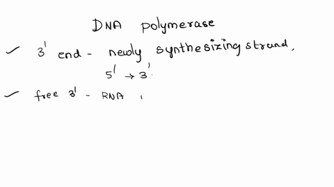 11dna-polymerase-adds-nucleotides-to-pcin-the-3-end-and-the-leading-strand-elongates-in-the-3-to-5-direction-b-the-end-and-the-leading-strand-elongates-in-the-3-to-5-direction-the-end-and-th-41897