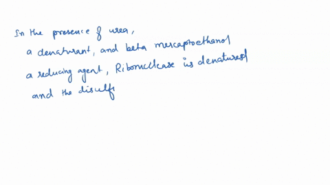 a-classic-experiment-by-christian-anfinsen-and-coworkers-examined-the-effect-of-a-denaturing-agent-urea-and-reducing-agent-beta-mercaptoethanol-on-the-folding-of-a-protein-called-ribonucleas-98319