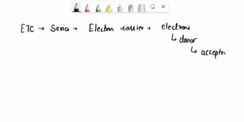 13-the-electron-transport-chain-a-moves-electrons-through-a-series-of-electron-carriers-b_-occurs-in-the-plasma-membrane-of-prokaryotes-c-forms-atp-by-way-of-oxidative-phosphorylation-d-all-35773