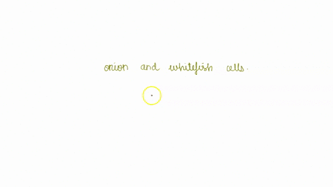 what-are-the-similarities-between-the-two-types-of-cells-onion-and-whitefish-25272