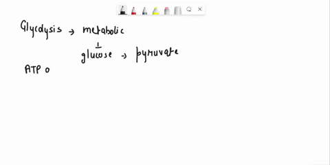 question-5-5-pts-what-are-the-products-of-glycolysis-select-all-that-apply-2-atp-2-nadh-4fadh2-2-pyruvate-2g3p-previcus-nicn-10318
