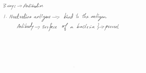 describe-the-three-ways-antibodies-function-23017