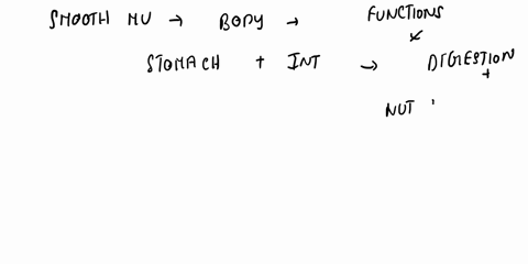 what-is-the-function-of-smooth-muscles-to-control-the-movement-of-internal-organs-to-control-contractions-of-the-heart-to-move-bones-99612