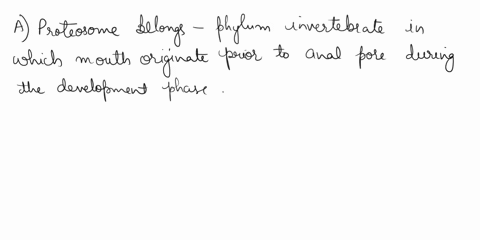 draw-a-diagram-that-includes-the-various-characteristics-of-protostome-development-bilateral-symmetry-spiral-cleavage-determinate-cleavage-and-that-the-blastopore-eventually-becomes-the-mout-98958