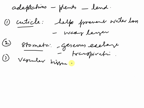identify-adaptations-that-make-it-possible-for-plants-to-survive-on-land-82154
