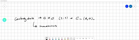 which-of-the-following-statements-about-functional-groups-in-carbohydrate-structure-isare-true-a-a-carbohydrate-must-have-an-idehyde-group_-a-carbohydrate-alwvays-has-nyoroxyl-groud-carbohyd-73908