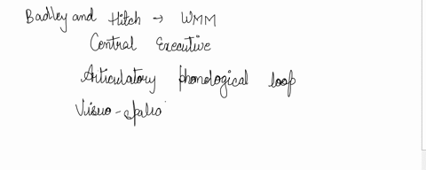 describe-baddeley-and-hitchs-working-memory-model-66912