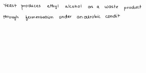what-waste-product-do-yeast-produce-under-anaerobic-conditions-select-one-a-lactic-acid-b-creatine-c-ethyl-alcohol-d-pyruvic-acid-66296